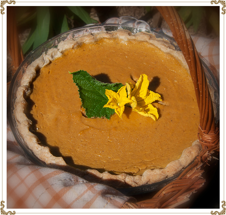 Recipe photo Pumpkin Pie Gluten-free, dairy-free (casein-free) and hypotoxic 
By: Cuisine l'Angélique
